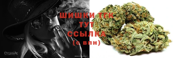 эйфоретик Осинники