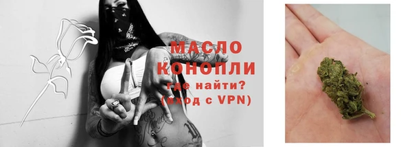 эйфоретик Осинники
