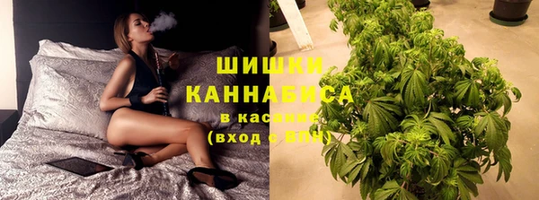 эйфоретик Осинники