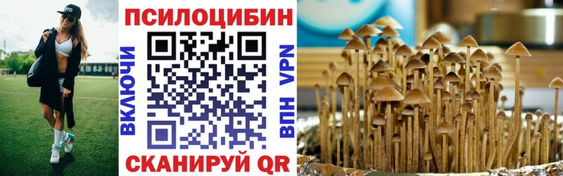 закладка  Новотитаровская  Псилоцибиновые грибы Cubensis 